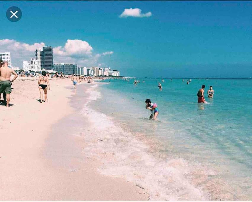 New Luxurious Studio Private In The Heart Of Miami Eksteriør bilde