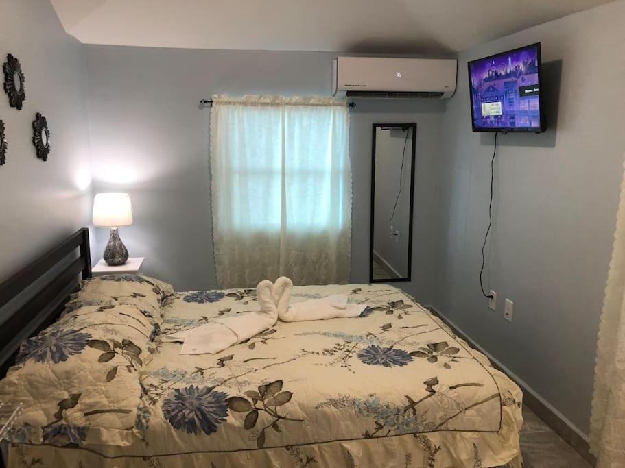 New Luxurious Studio Private In The Heart Of Miami Eksteriør bilde